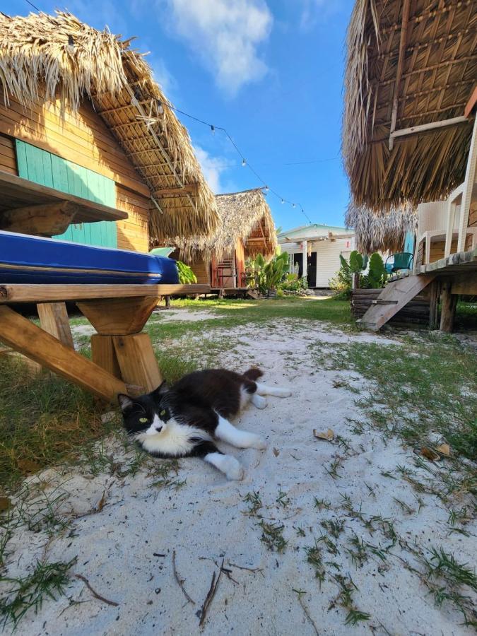 Saona Lodge Mano Juan Zewnętrze zdjęcie